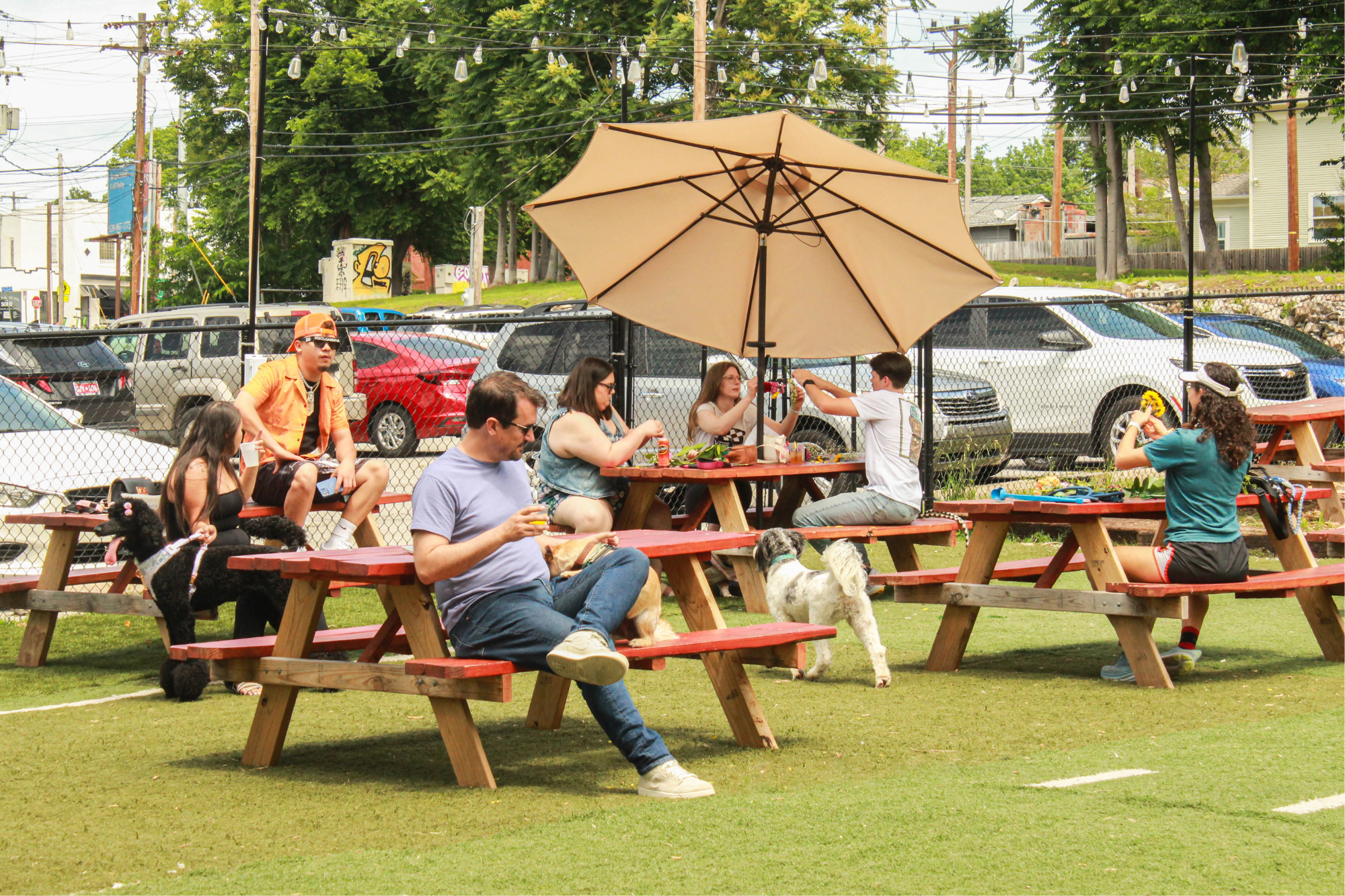 Tails & Ales membership space